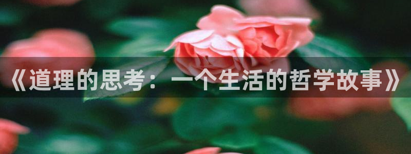 绅士喵漫画：《道理的思考：一个生活的哲学故事》