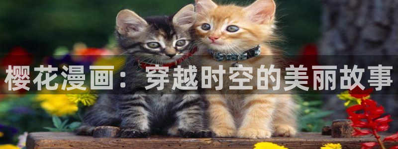 喵趣漫画网站入口：樱花漫画：穿越时空的美丽故事